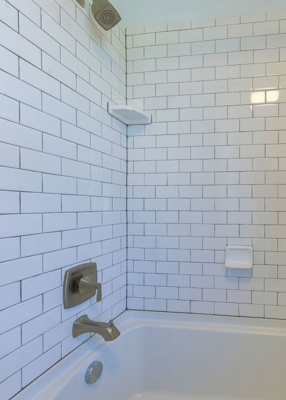 Shower Tile Regrouting